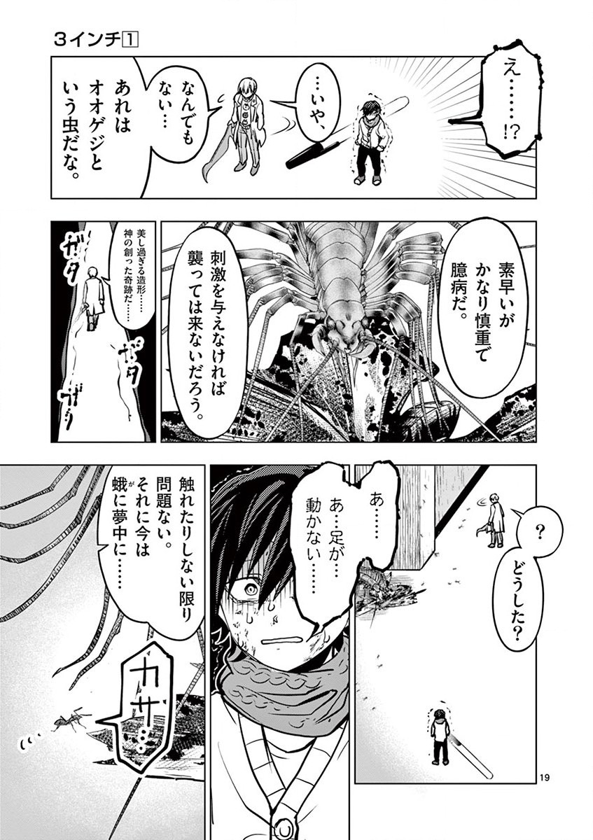 P19