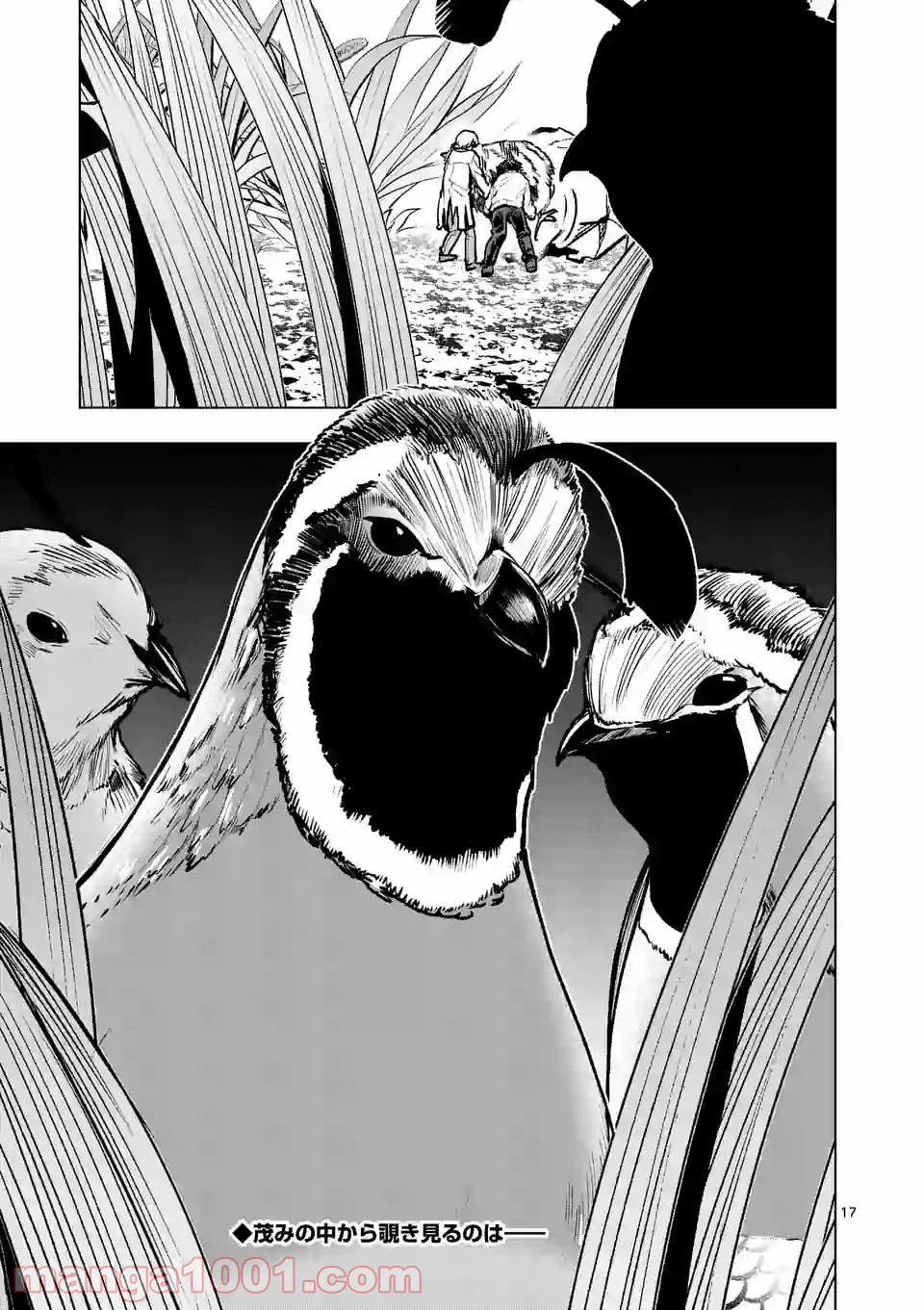 P17