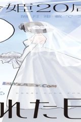 晴れた日のドレスコード (Raw – Free)