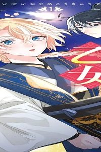 彗星乙女後宮伝～男装の女騎士、異国であやしいお役目に就きました～ (Raw – Free)