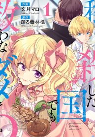 私を殺そうとした国でも救わなきゃダメですか？ (Raw – Free)