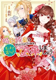 婚約破棄を持ちかけられて十数年、そこまで言うなら破棄しましょう！ (Raw – Free)