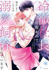 冷徹社長に拾われて溺愛飼育されています (Raw – Free)