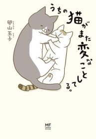うちの猫がまた変なことしてる。 (Raw – Free)