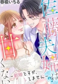 佐藤夫婦は甘くない～新婚ですが、シてません～ 【通常版】 (Raw – Free)
